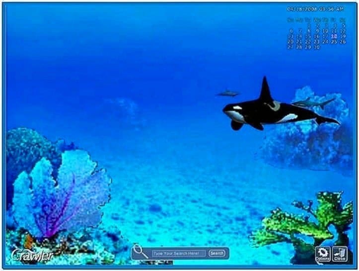 Marine Fish Screensaver Mac