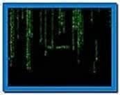 Matrix Code Screensaver Oficial
