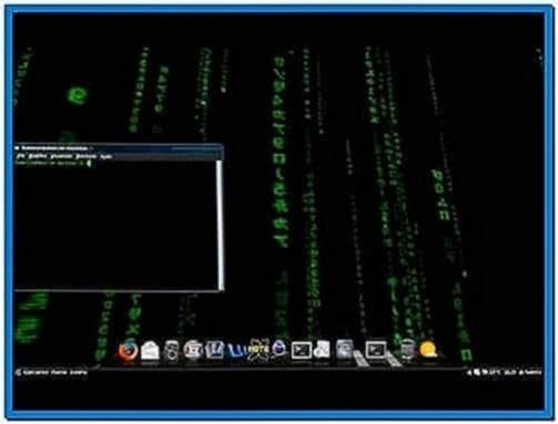 Matrix Screensaver Ubuntu 10.04