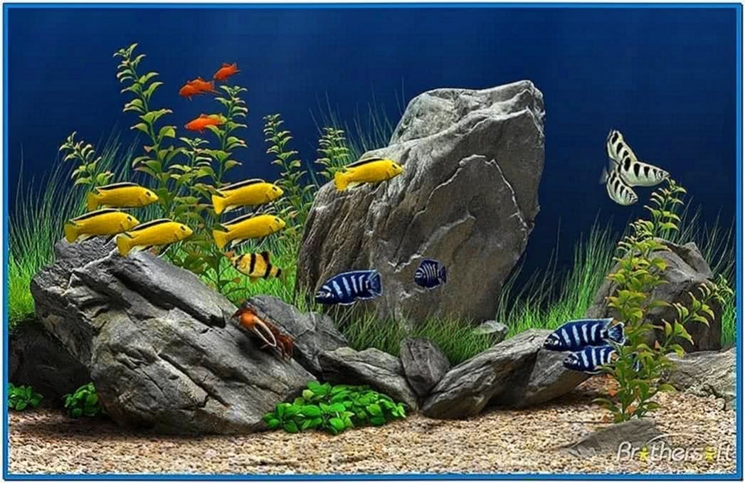 Microsoft Fish Tank Screensaver