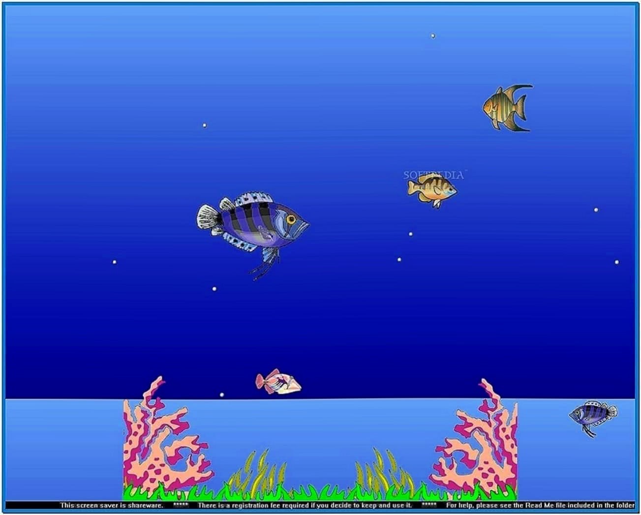 Moving Fish Tank Screensaver Mac