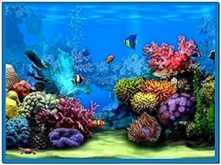 Screensaver Aquarium Real Life 2