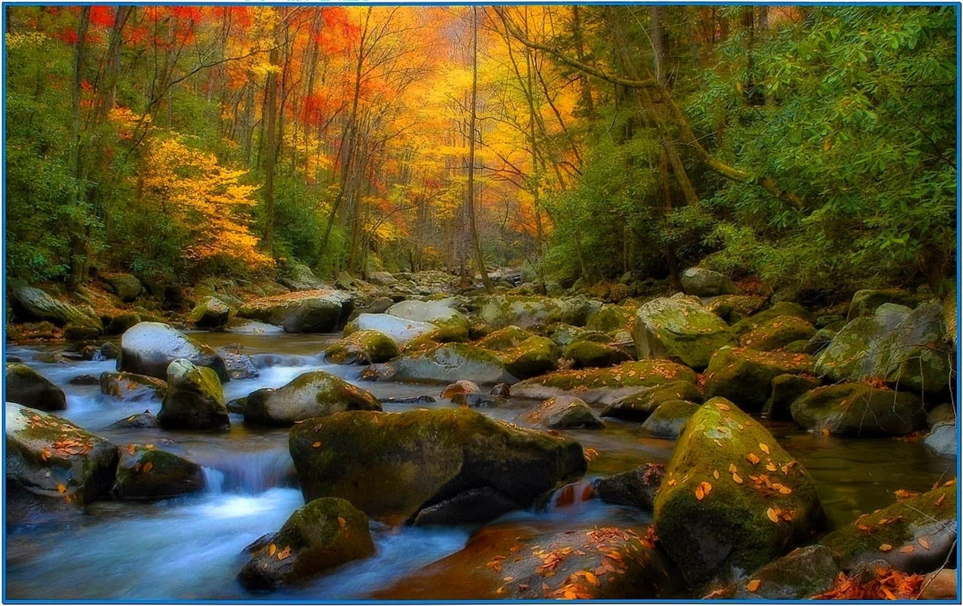 Screensaver Nature Scenes - Download-Screensavers.biz