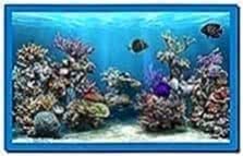 Sim Aquarium 3D Screensaver 2.71