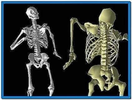Skeleton Clock 3D Screensaver and Animated Wallpaper