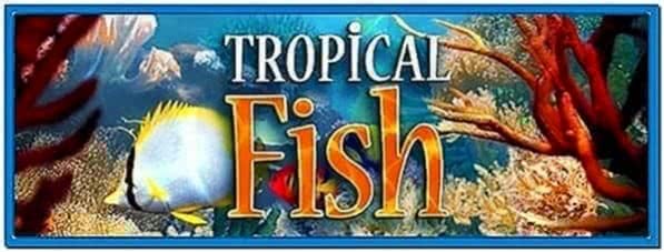 Tropical Fish 3D Screensaver 1.0
