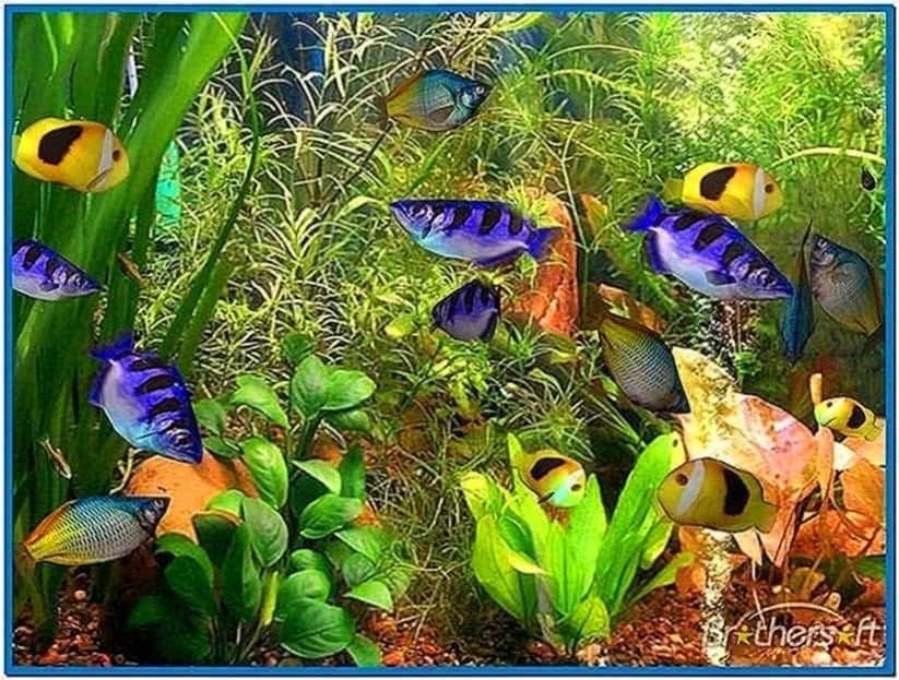 Tropical Fish Screensaver Mac