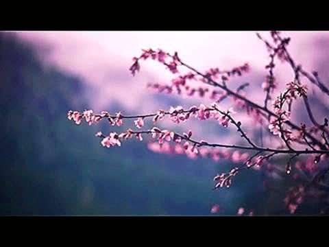 Spring screensaver video