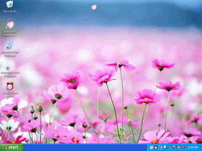 Windows XP Animated Gif Screensaver