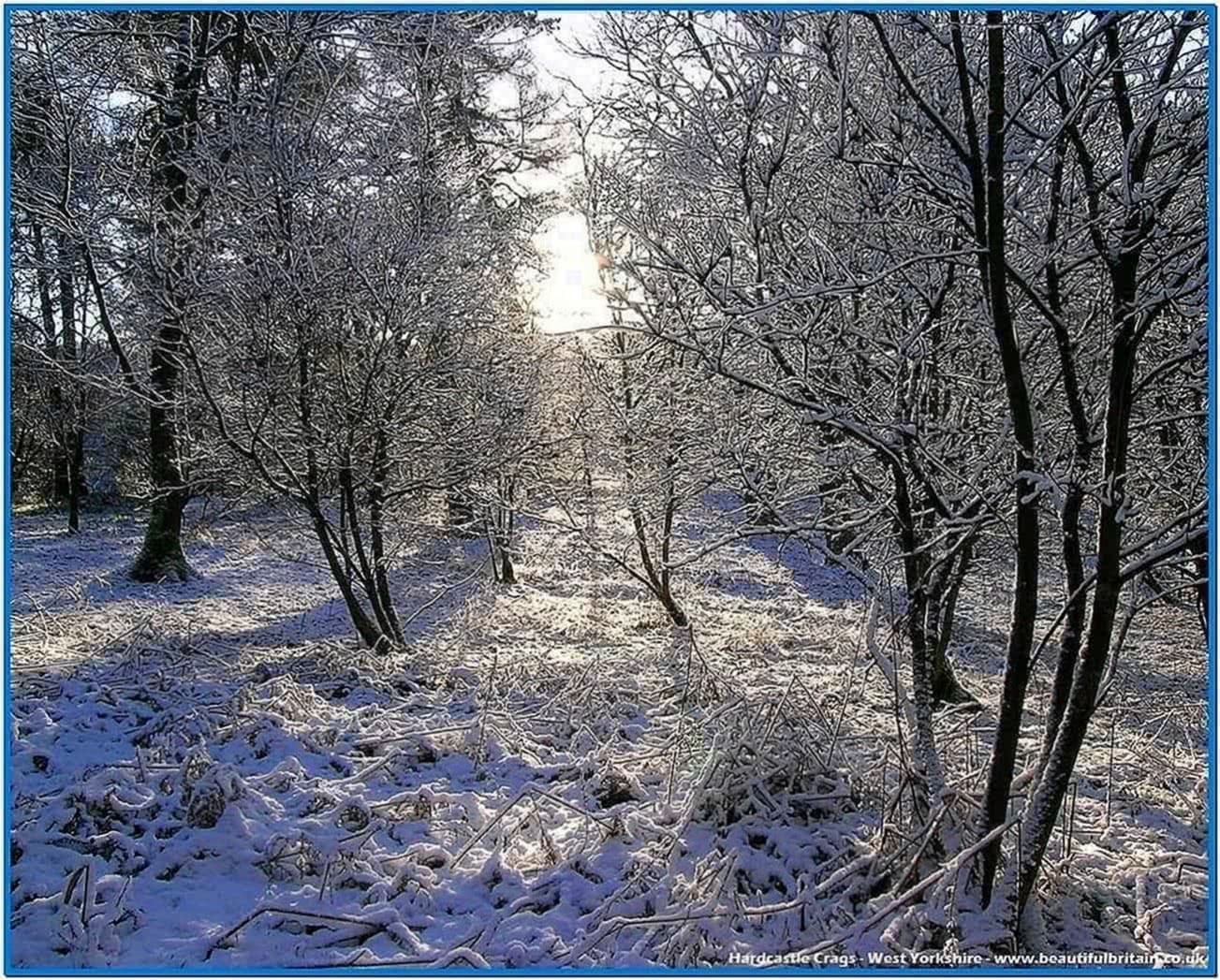 Winter Screensaver Photos