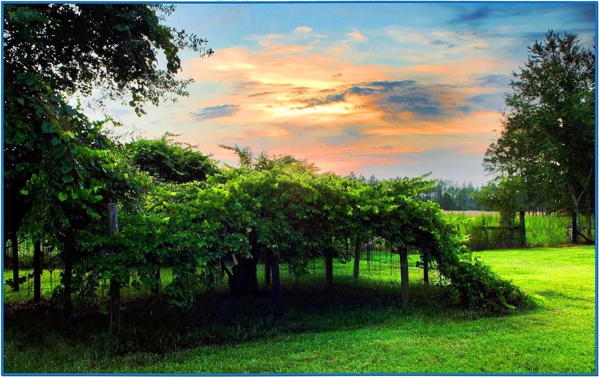 2flyer screensaver builder pro crack windows 7 2flyer screensaver builder pro crack windows 7